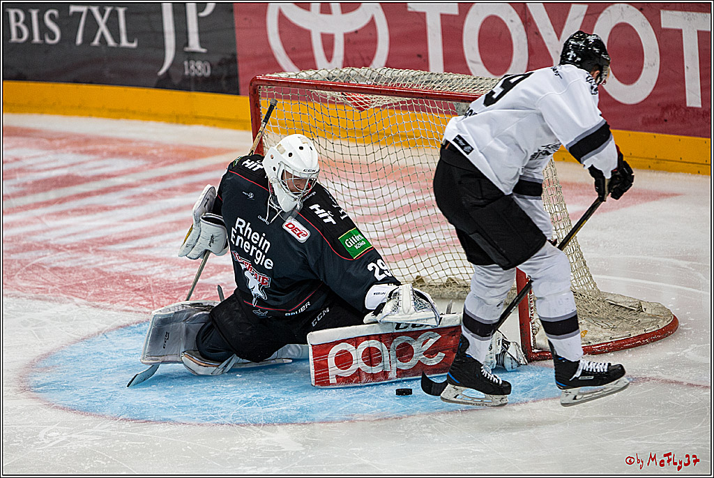 DEL, Koelner Haie - Nuernberg Ice Tiger, 24.01.2017